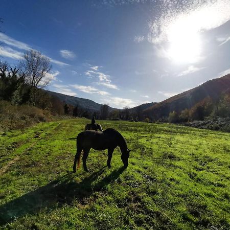 La Casella Antico Feudo Di Campagna Ficulle Exterior foto