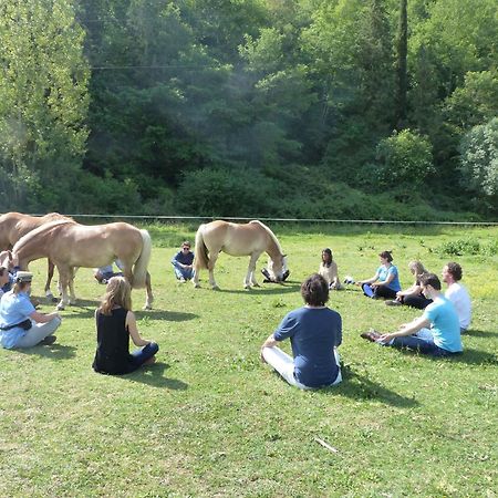 La Casella Antico Feudo Di Campagna Ficulle Exterior foto