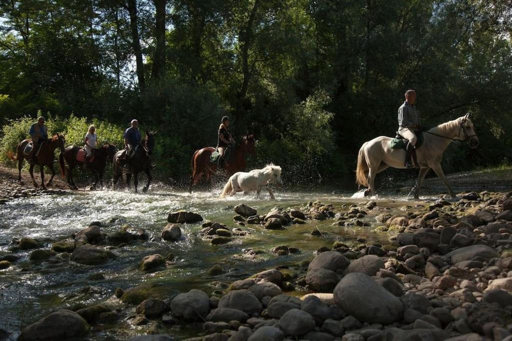 La Casella Antico Feudo Di Campagna Ficulle Exterior foto