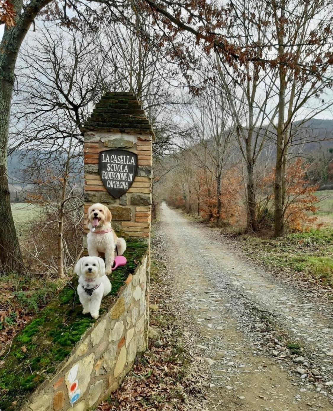 La Casella Antico Feudo Di Campagna Ficulle Exterior foto