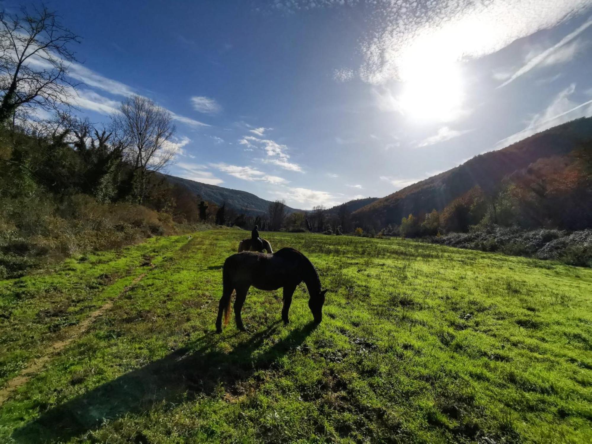 La Casella Antico Feudo Di Campagna Ficulle Exterior foto