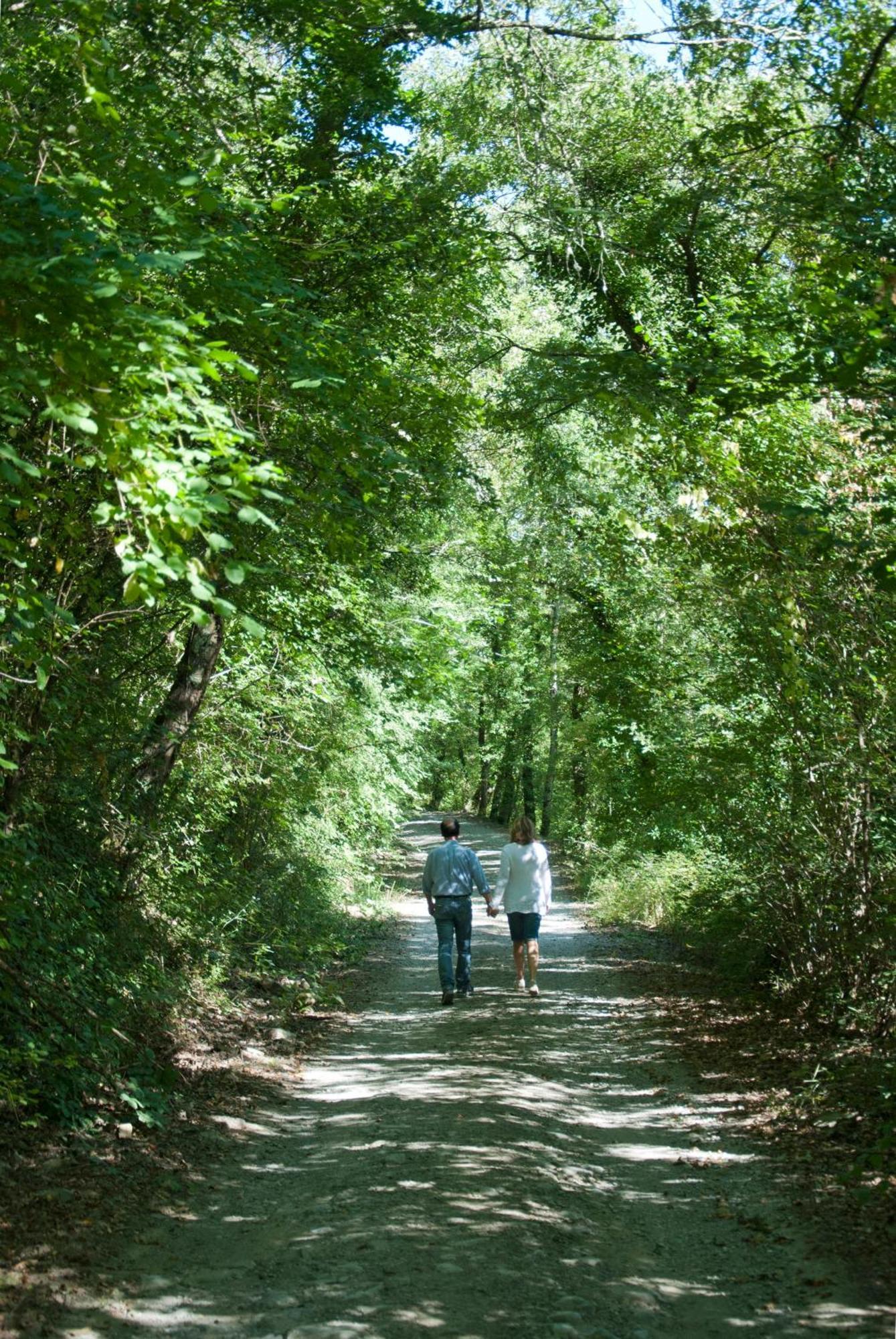 La Casella Antico Feudo Di Campagna Ficulle Exterior foto