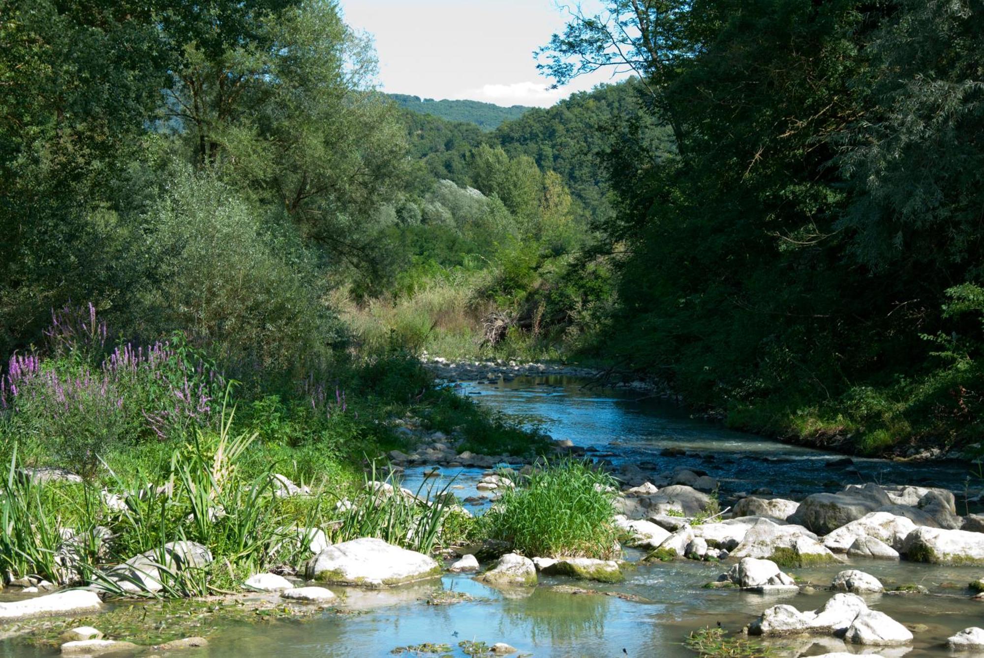 La Casella Antico Feudo Di Campagna Ficulle Exterior foto