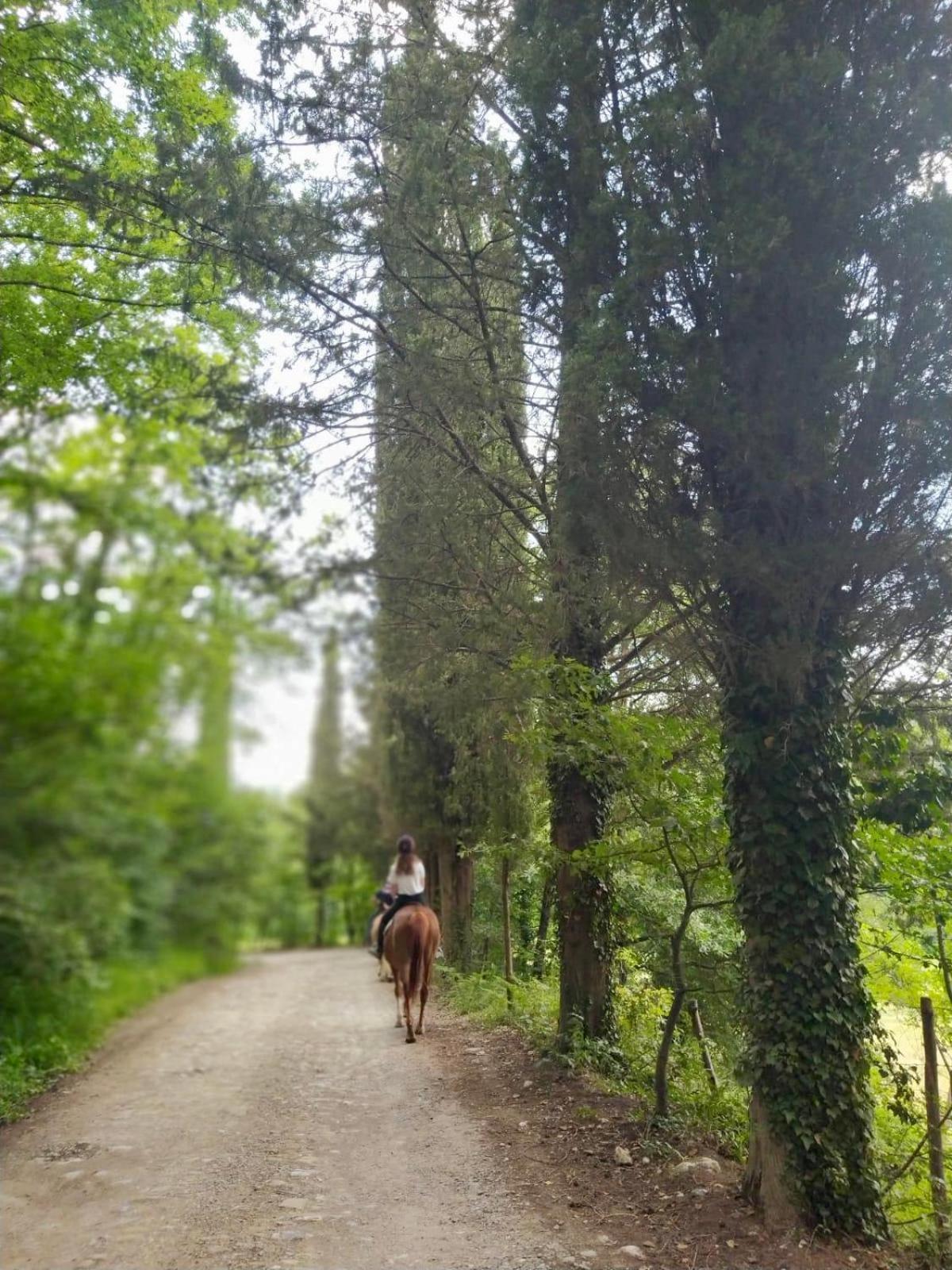 La Casella Antico Feudo Di Campagna Ficulle Exterior foto