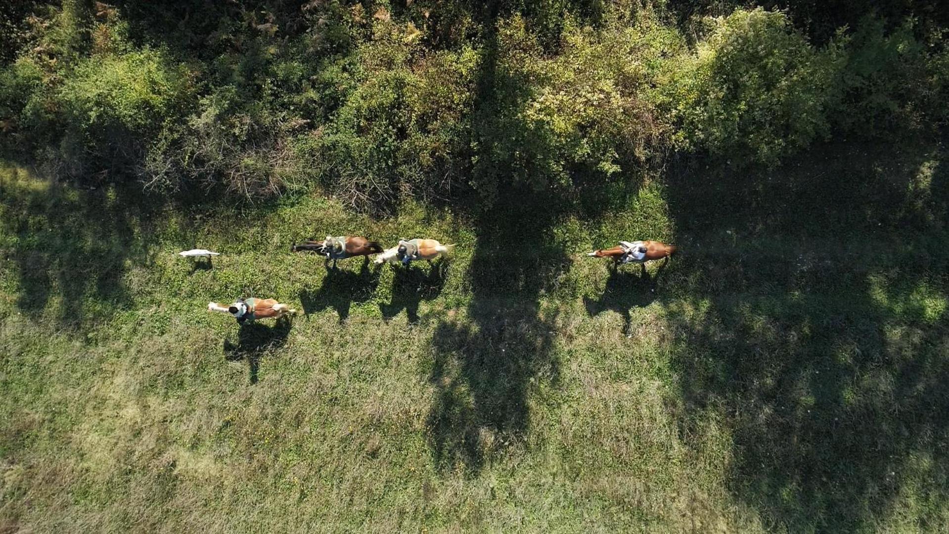 La Casella Antico Feudo Di Campagna Ficulle Exterior foto