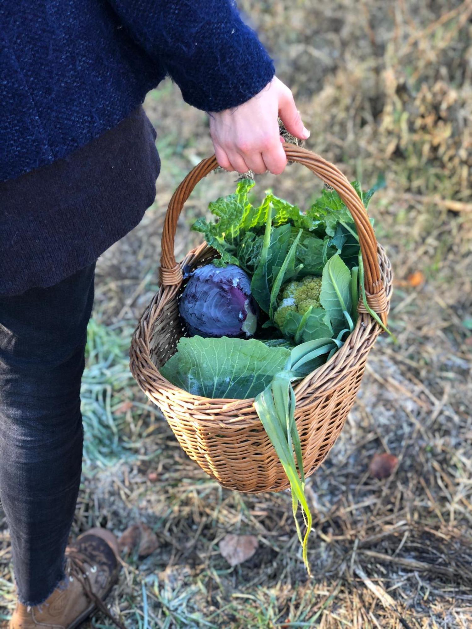 La Casella Antico Feudo Di Campagna Ficulle Exterior foto