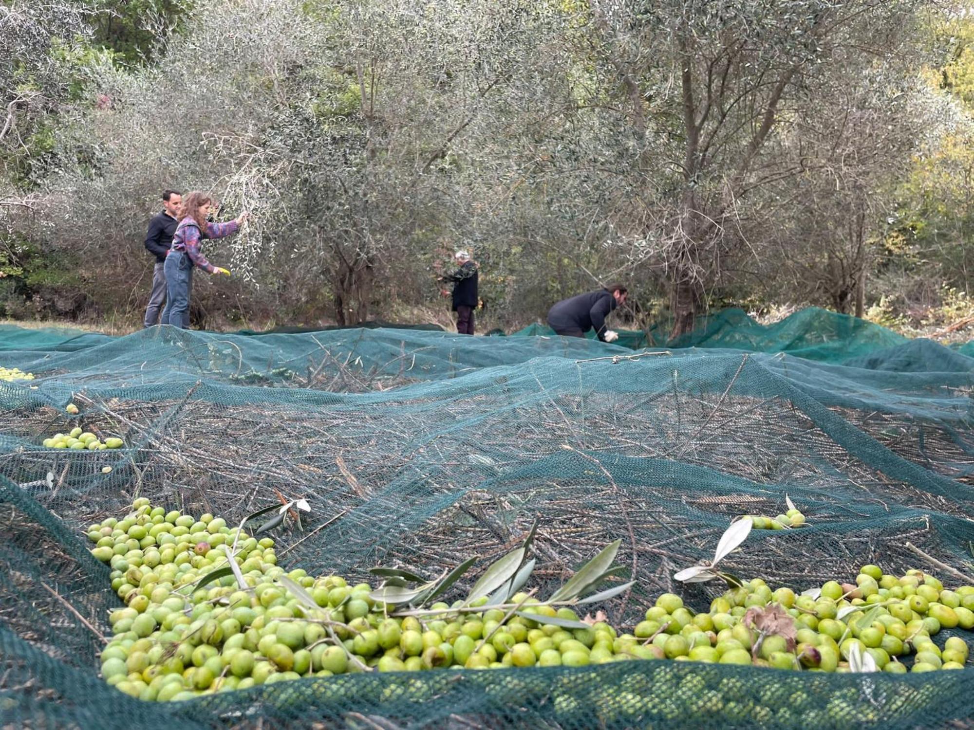 La Casella Antico Feudo Di Campagna Ficulle Exterior foto