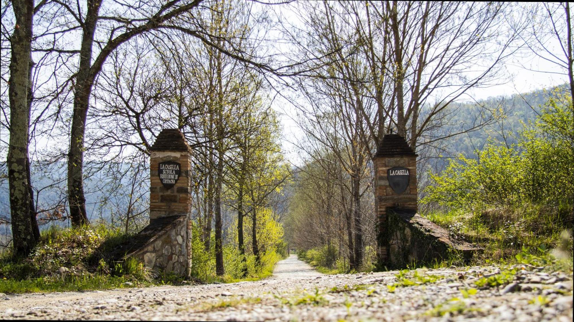 La Casella Antico Feudo Di Campagna Ficulle Exterior foto